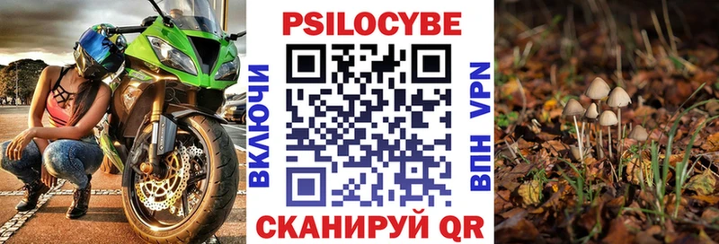 Псилоцибиновые грибы Psilocybe  MEGA ССЫЛКА  Яранск 
